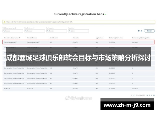 成都蓉城足球俱乐部转会目标与市场策略分析探讨
