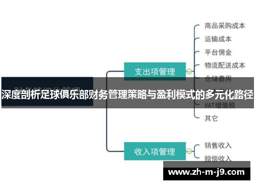 深度剖析足球俱乐部财务管理策略与盈利模式的多元化路径