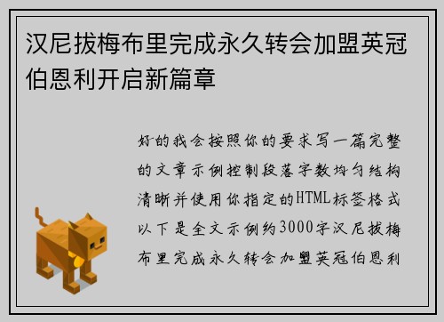 汉尼拔梅布里完成永久转会加盟英冠伯恩利开启新篇章